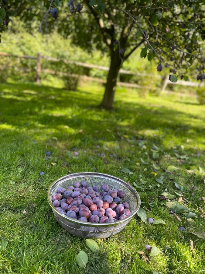 Klimatyczny Dom Kopaczowka Przytulna Miejscowka Z Kominkiem, Sauna I Ogrodem U Podnoza Gor Stolowych Radkow Bagian luar foto